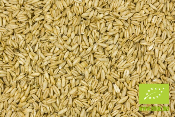 naked oat organic 500g