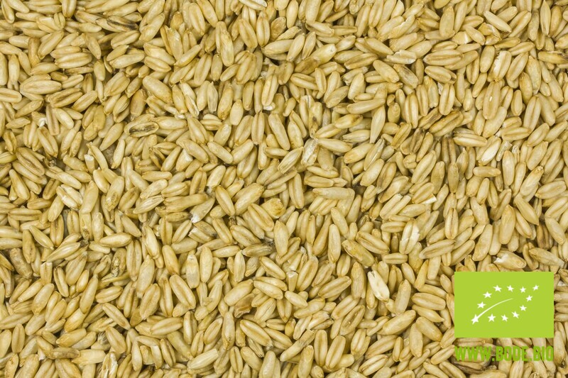 naked oat organic 500g