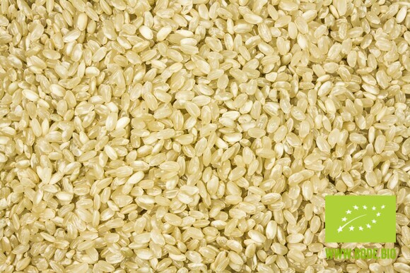 rice short grain whole grain organic 500g