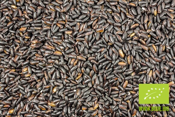 rice longrain (black venus) organic