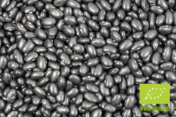 Bohnen schwarz bio (black turtle) gartenkompostierbarer Beutel 500 g