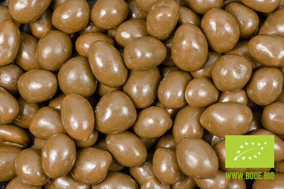 peanuts with milk chocolate organic 125g