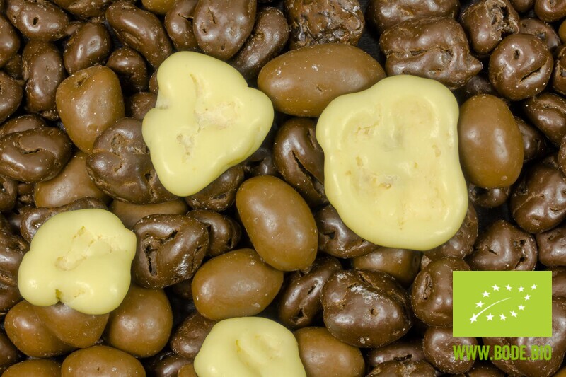 peanut-fruit mix coated with  chocolate organic