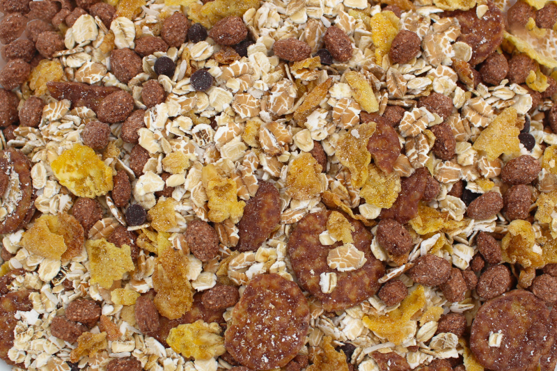 Müsli Schoko bio 2x2,5kg