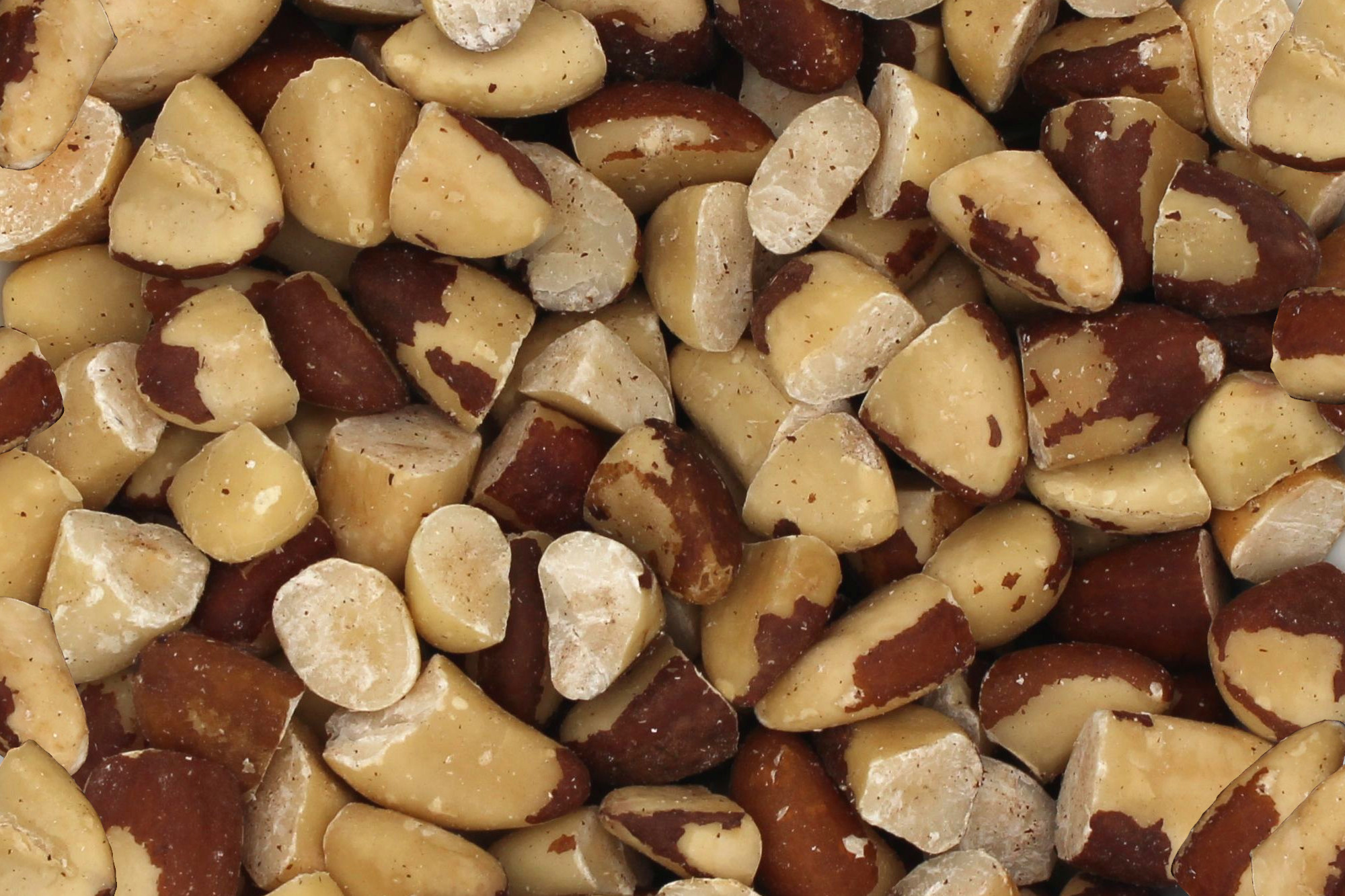 Paranuss-Stücke bio 1kg