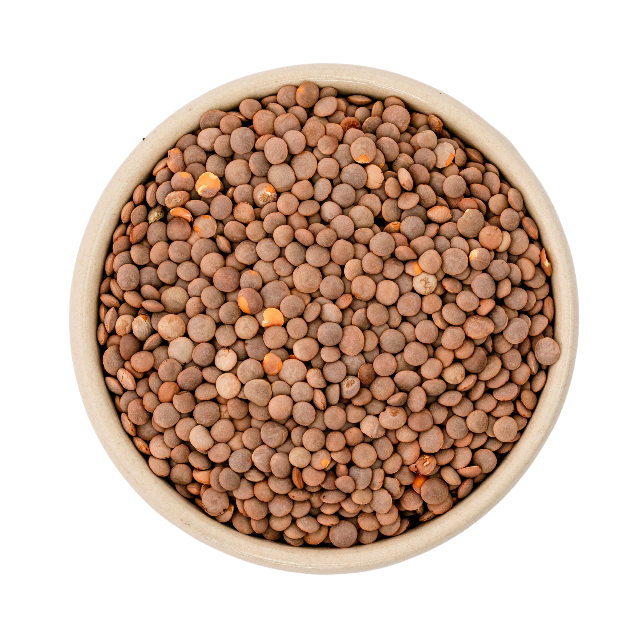 Berglinsen braun bio (Gourmet)