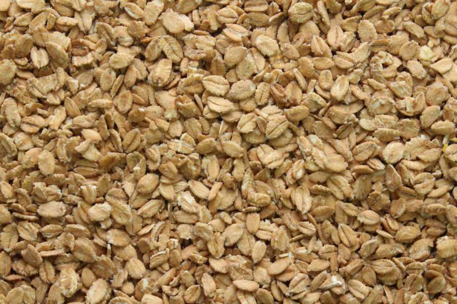 Crunchy Dinkel bio