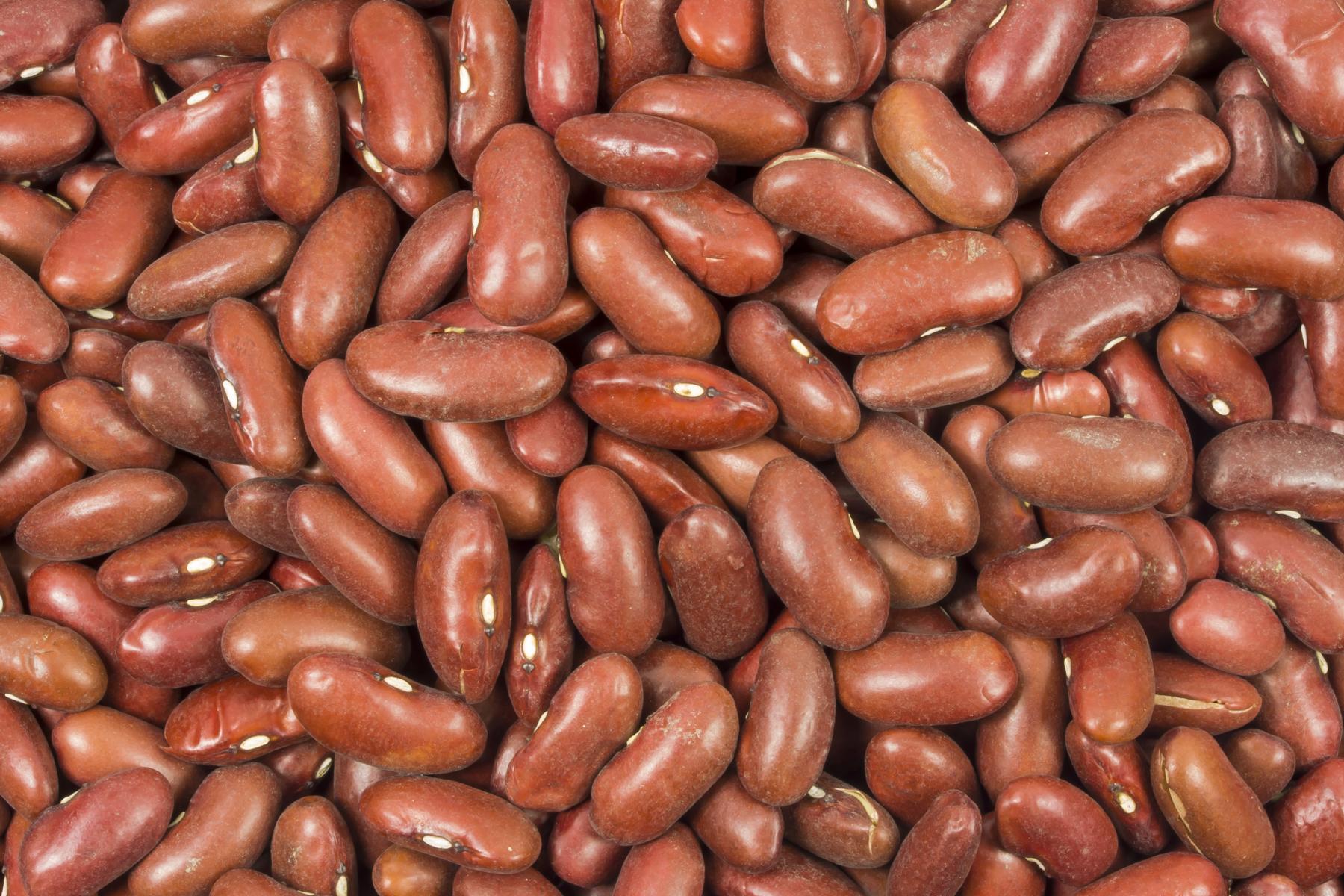 Kidneybohnen rot bio 500g
